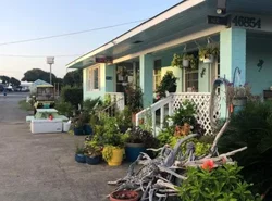 Swell Motel