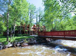 Streamside on Fall River