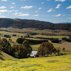 Victoria Accommodation Philadelphia