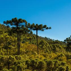 Parana Accommodation Philadelphia