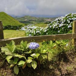 Serra Gaucha Accommodation Philadelphia