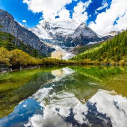 Sichuan Accommodation Philadelphia