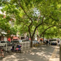 Yabao Road, Beijing Accommodation Philadelphia