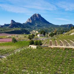 Murcia Accommodation Philadelphia