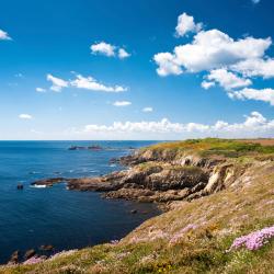Brittany Accommodation Philadelphia