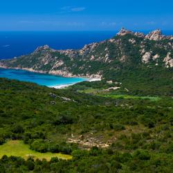 Corsica Accommodation Philadelphia