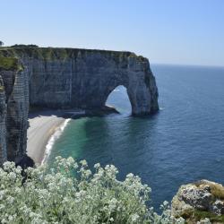 Normandy Accommodation Philadelphia