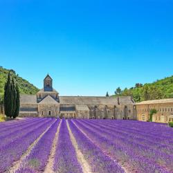 Provence Accommodation Philadelphia