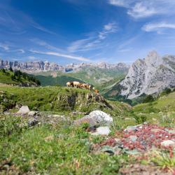 Pyrénées Accommodation Philadelphia