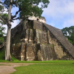 Flores Accommodation Philadelphia