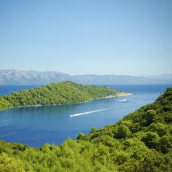 Mljet Island Accommodation Philadelphia
