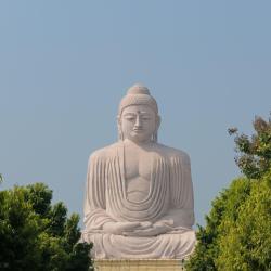 Bihar Accommodation Philadelphia