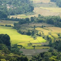 Coorg Accommodation Philadelphia