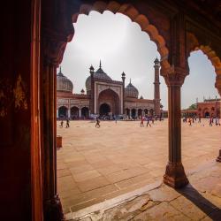 Delhi NCR Accommodation Philadelphia