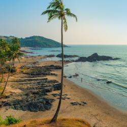 North Goa Accommodation Philadelphia