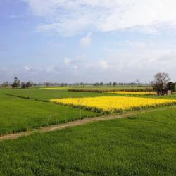 Punjab Accommodation Philadelphia