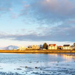 Höfn Accommodation Philadelphia