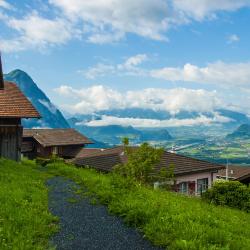 Triesenberg Accommodation Philadelphia