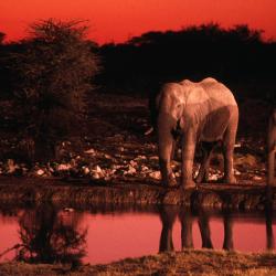 Okaukuejo Accommodation Philadelphia