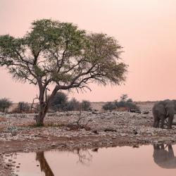 Outjo Accommodation Philadelphia