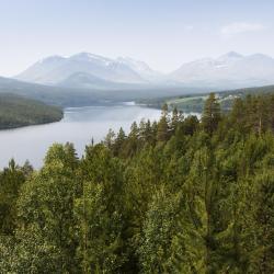 Gala Region Accommodation Philadelphia