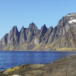 Senja Accommodation Philadelphia