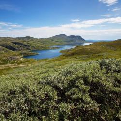 Telemark Accommodation Philadelphia