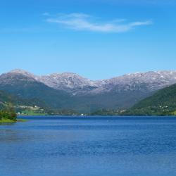 Voss Accommodation Philadelphia