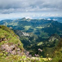 Coromandel Peninsula Accommodation Philadelphia