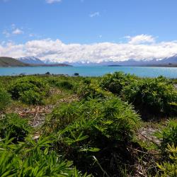 Lake Tekapo Accommodation Philadelphia