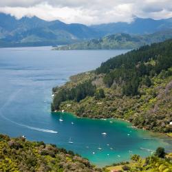 Marlborough Sounds Accommodation Philadelphia