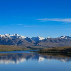 South Island Accommodation Philadelphia