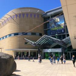 Te Papa Museum, Wellington Accommodation Philadelphia