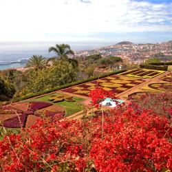 Funchal Accommodation Philadelphia