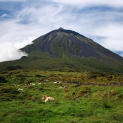Pico island Accommodation Philadelphia