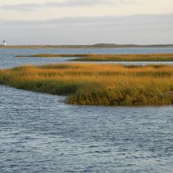 Cape Cod Accommodation Philadelphia