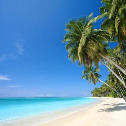 Hawaii Accommodation Philadelphia