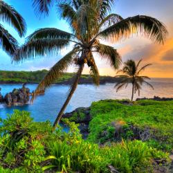 Maui Accommodation Philadelphia