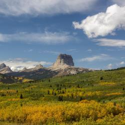 Texas Accommodation Philadelphia