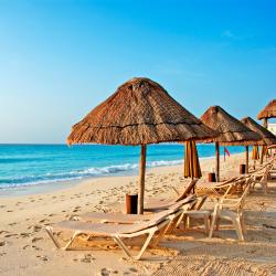 Caribbean Islands Accommodation Philadelphia