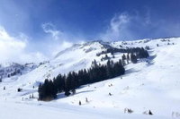 Oaks at Wasatch Family Getaway