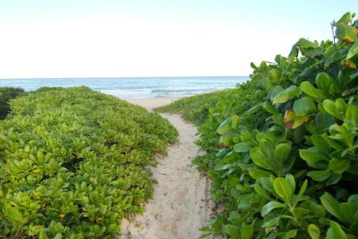 Kailua Beach Studio Tiki Room - thumb 4