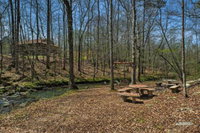 Summerville Cabin w / Private Creek / Blue Hole
