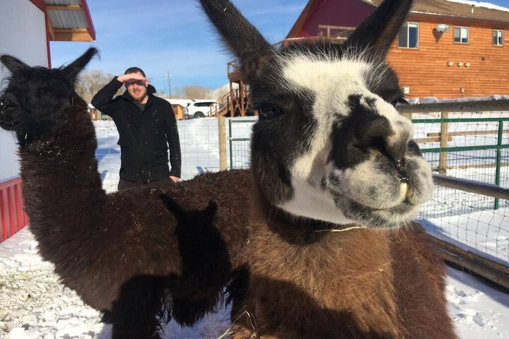 Eycat Lodging Company - thumb 3