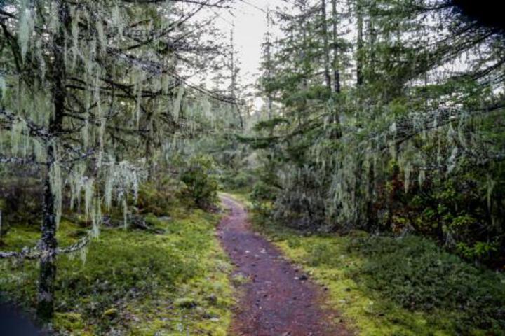 Lolo Pass Basecamp - thumb 6