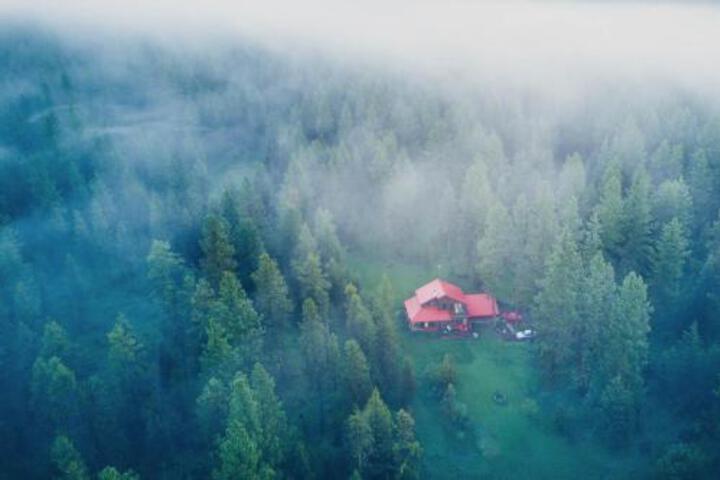 Cabin In The Pines - thumb 4