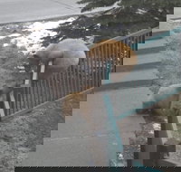 Mountainback at Mammoth - Accommodation Philadelphia