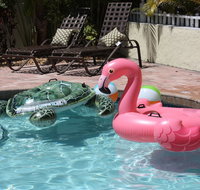Palm Tree Villas - Accommodation Philadelphia