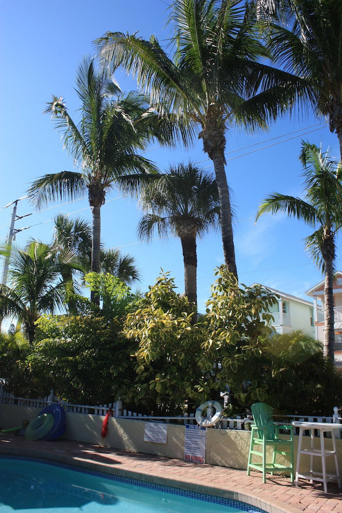 Palm Tree Villas - thumb 6