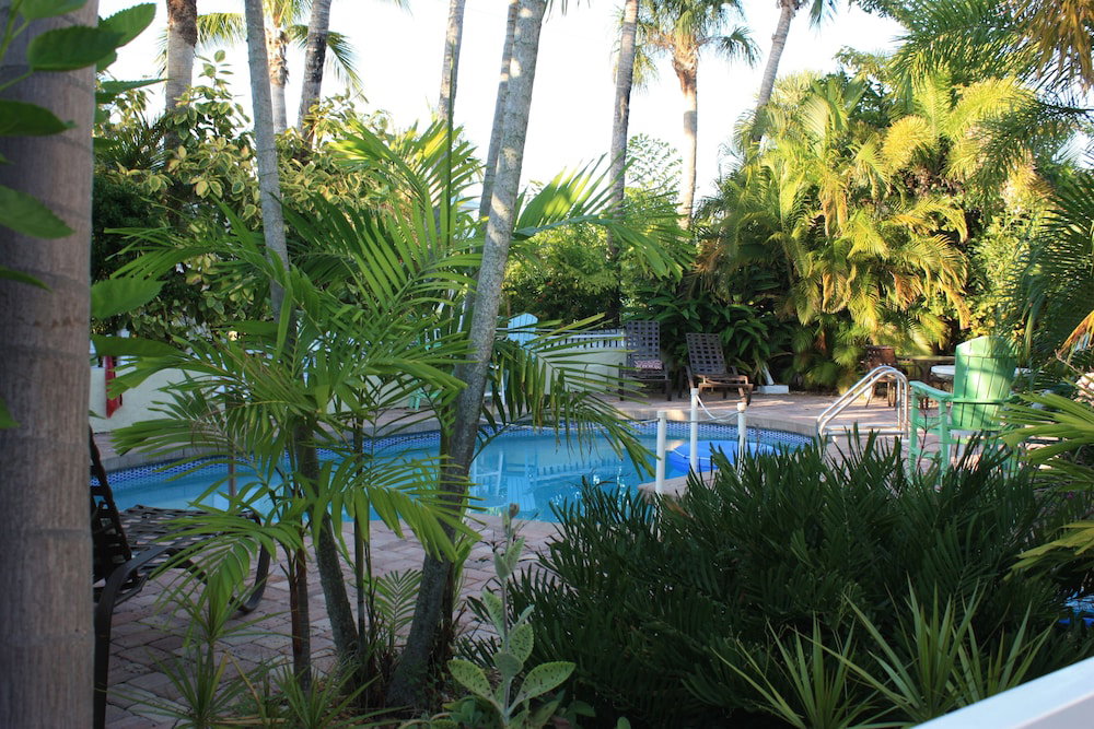 Palm Tree Villas - thumb 4